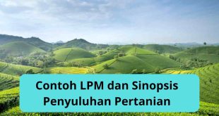 Contoh LPM dan Sinopsis Penyuluhan Pertanian