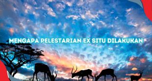 Mengapa Pelestarian Ex Situ Dilakukan